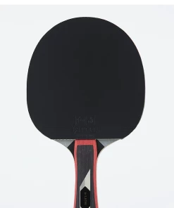 TYPHOON – Lion Table Tennis Bat