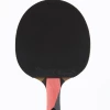 AGGRESSOR – Lion Table Tennis Bat