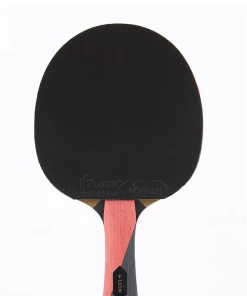 AGGRESSOR – Lion Table Tennis Bat