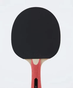 INTERNATIONAL – Lion Table Tennis Bat